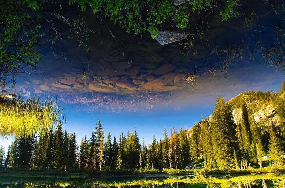 Pine trees, rocks and a blue sky reflected in still water, shown upside down